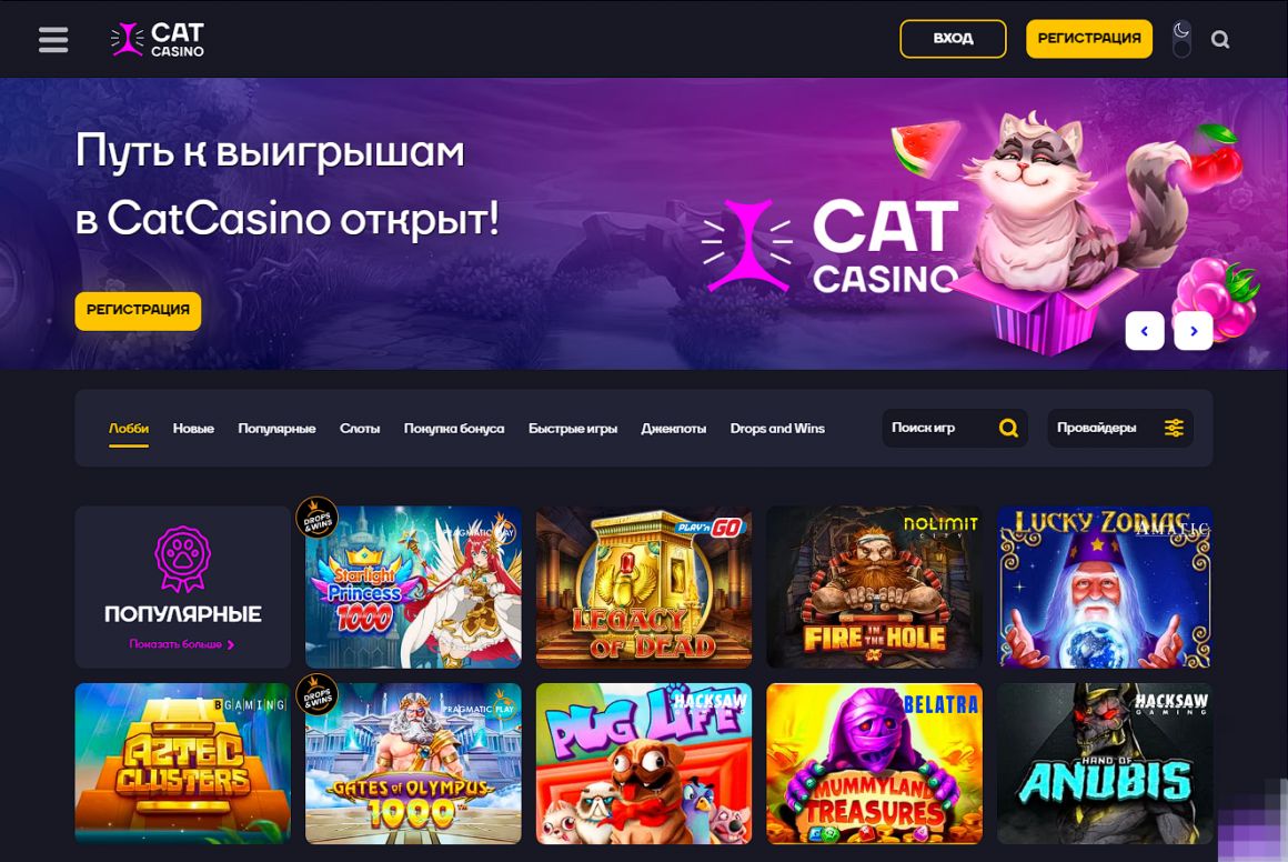 Нюансы и ограничения при выводе выигрыша из Cat Casino